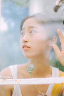 忍者神龟动漫